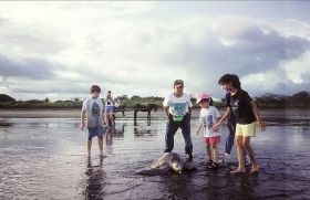 Children with turle on Los Isla Canas, Panama – Best Places In The World To Retire – International Living